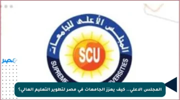المجلس الأعلى.. كيف يعزز الجامعات في مصر لتطوير التعليم العالي؟